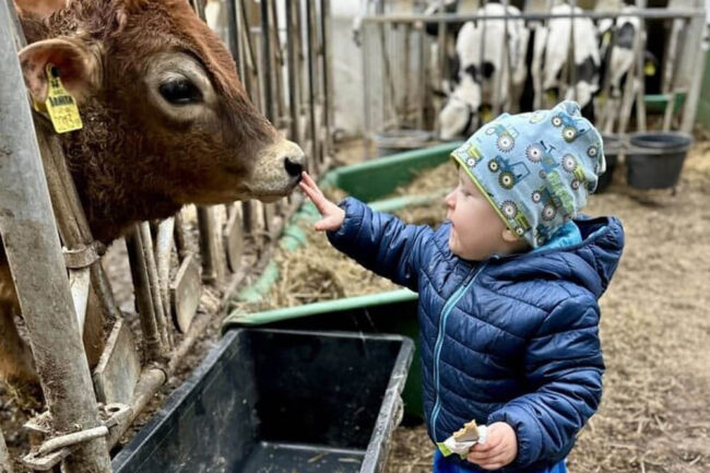 Echte Bauernhoftiere kennenlernen