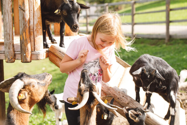 Mädchen im Ziegenauslauf mit jungen Zicklein (c) Punkt und Komma